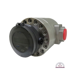Đồng hồ đo lưu lượng áp suất cao FLOMEC OM Series